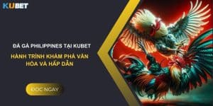 Đá gà Philippines tại Kubet: Hành trình khám phá văn hóa và hấp dẫn