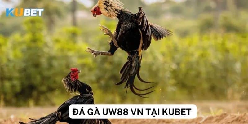 Cách đăng ký tài khoản chơi đá gà uw88 vn