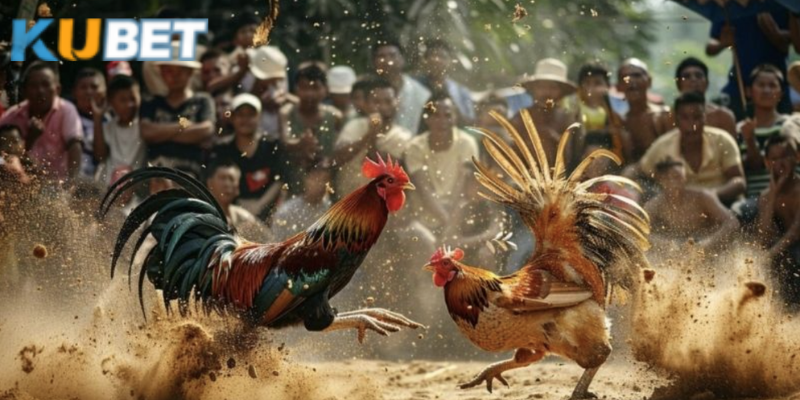 Người chơi có thể trải nghiệm cảm giác hồi hộp và thú vị