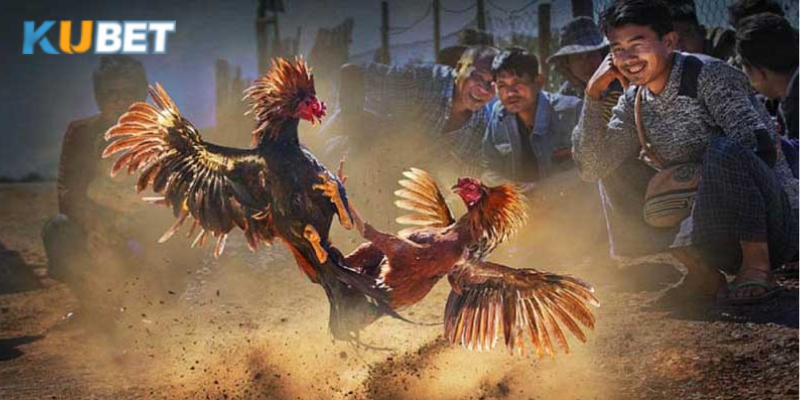Không nên đặt cược quá mức cho phép để tránh thất thoát tài chính