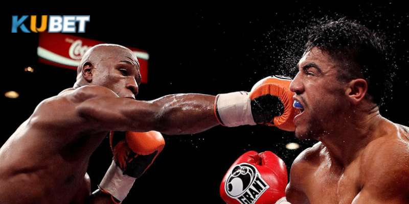 Kubet hỗ trợ theo dõi kết quả và các trận đấu UFC trực tiếp