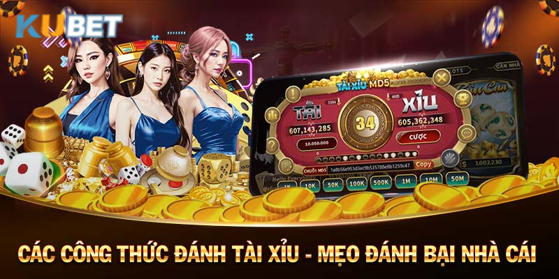 Áp dụng công thức cược một cách linh hoạt